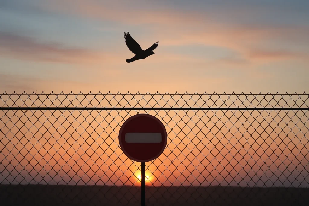 Deported, Endangered, and Now Returned: A Migrant’s Ordeal Under Trump